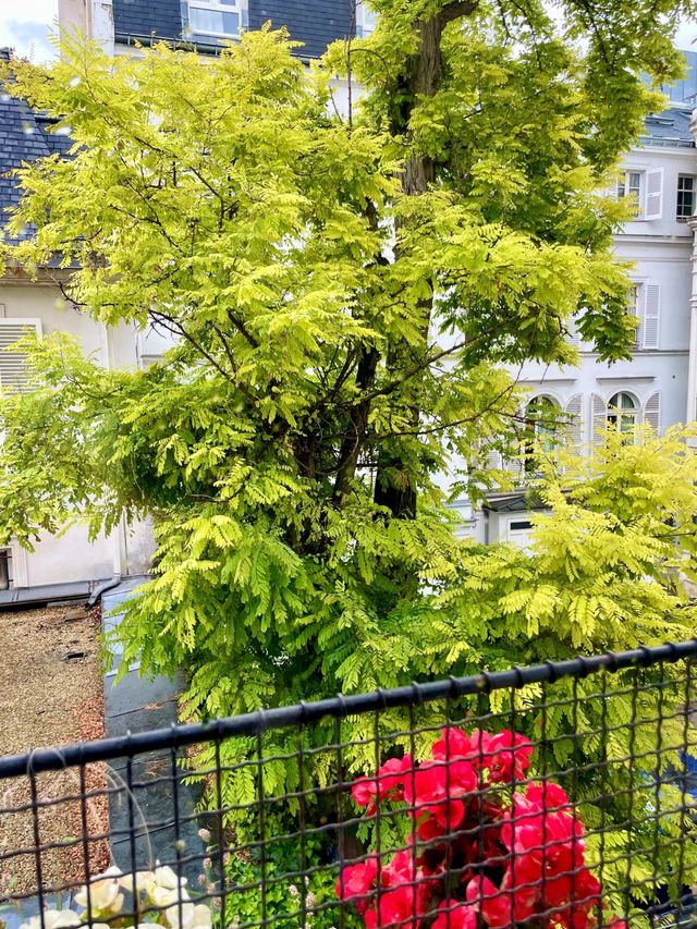 Appartement F6 à vendre - 6 pièces - 142.0 m2 - PARIS - 75008 - ILE-DE-FRANCE - Century 21 Alpha Hoche