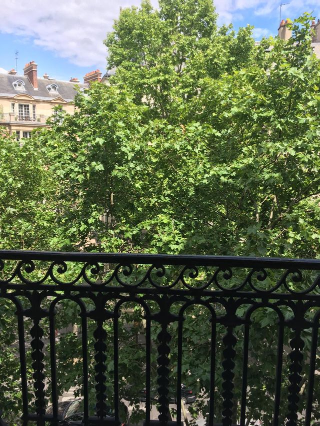 Appartement F7 à vendre - 7 pièces - 187.0 m2 - PARIS - 75017 - ILE-DE-FRANCE - Century 21 Alpha Hoche